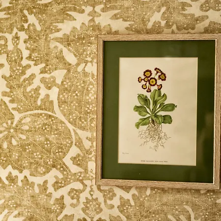 Han/Misafirhane Queen's Head