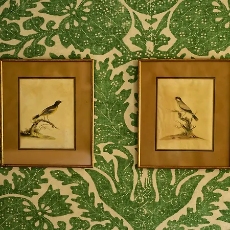 Han/Misafirhane Queen's Head *